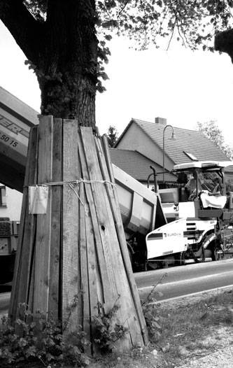 es wird asphaltiert - heute Foto von der im Bau befindlichen Straße - heute.
