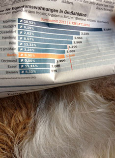 Statistik in Zeitung Blick auf Zeitungsartikel - Statistik Wohnungen ist zu sehen.