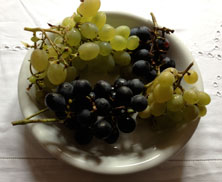 Foto von  Weintrauben auf Teller ist zu sehen.