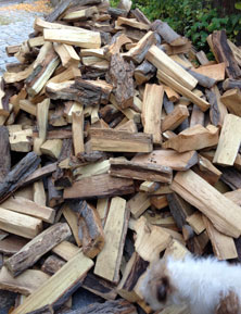 heute: Blick auf Holzhaufen Foto von einem Holzhaufen ist zu sehen.