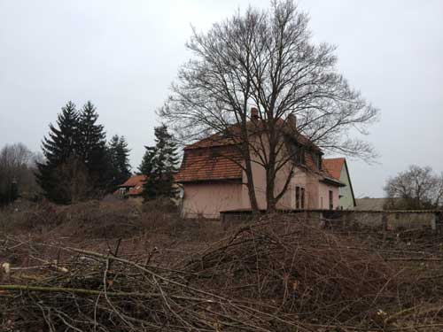 Foto vom zukünftigen Baurundstück in Richtung Weg ist zu sehen