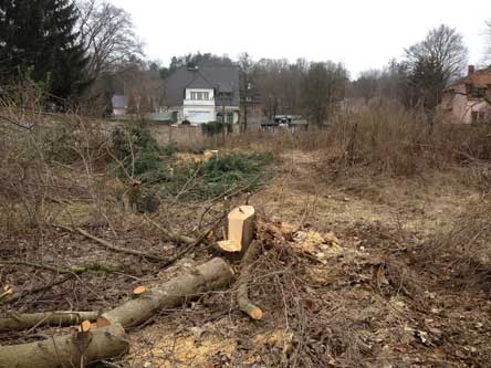 Foto vom Gelände in Richtung Eisenbahnstraße Foto vom zukünftigen Baugelände in Richtung Friedrichshöfe ist zu sehen
