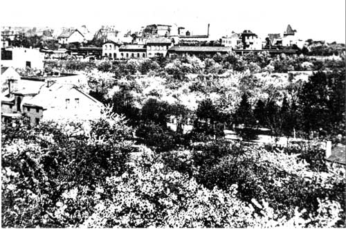 historisches Schwarzweißfoto: zu sehen ist die baumbestandene Eisenbahnstraße mit Bahnhof im Hintergrund.
