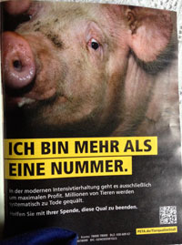 Anzeige von peta heute Foto von Anzeige von Beta ist zu sehen - heute.