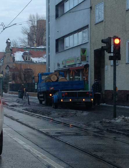 Foto von einem LKW mit großem abgesägten Stamm in Potsdam