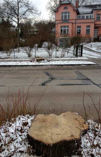 Foto von Jugendstilhaus mit zwei dicken Baumstümpfen auf beiden Straßenseiten ist abgebildet