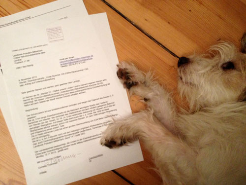 Foto vom Hund mit Antrag Hund liegt auf Antragsbrief