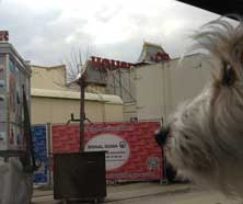 Foto von einem Rummel - Blick mit Hund aus dem Auto