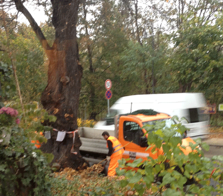 Ruwe - Firma für Straßenreinigung Foto: Transporter mit hoher Ladekante ist zu sehen.