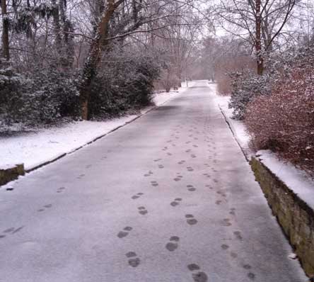 Marienweg heute Foto vom Marienweg heute