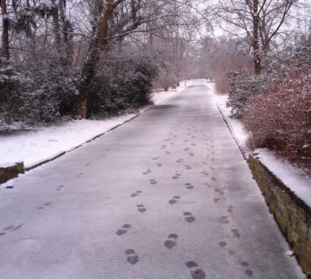 Foto vom Marienweg heute