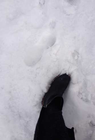 Schnee und Schuh am Hang in Werder Foto vom Stiefel im Schnee - Eisenbahnstraße