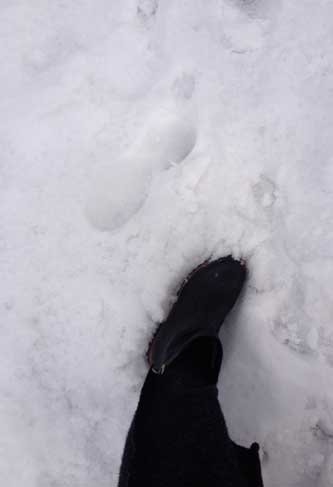 Foto vom Stiefel im Schnee - Eisenbahnstraße