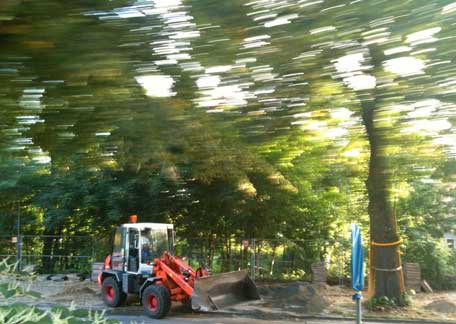 Foto von großem Gerät direkt unter einem alten Baum ist zu sehen