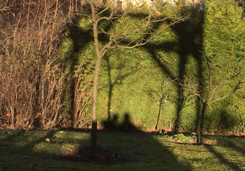 heute im Garten - Schatten Foto im Garten mit Schatten heute