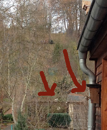Foto von Vogelhaus und Garten heute Foto von Vogelhaus und Garten ist zu sehen - heute.