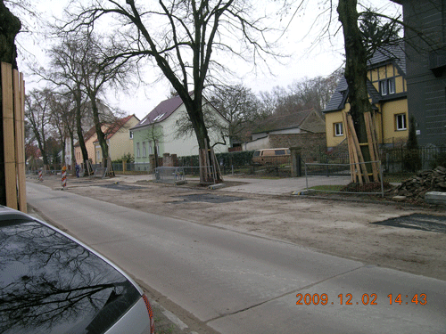 Blick auf die Straße wöhrend der Sanierung der Trinkwasserleitung im jahr 2009. Die Bäume waren geschützt worden.