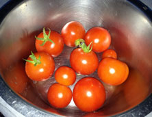 Tomaten heute Foto von Tomaten - heute.
