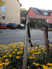 Blick auf den abgsägten Baumstumpf einer der jungen Linden, die nachgepflanzt wurden im ersten Bauabschnitt, der 2009 beendet war