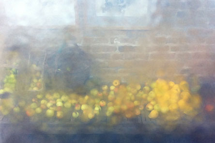 Blick auf Äpfel hinter Glas im Garten Foto von Äpfeln hinter GLas im Garten.
