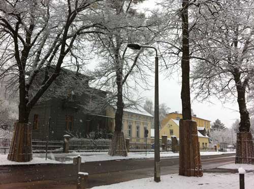Viererlindentor im Schnee Foto von vier großen Linden an der Eisenbahnstraße, Höhe Hausnummer 133