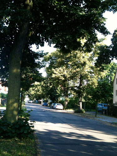 Blick vom Marienweg