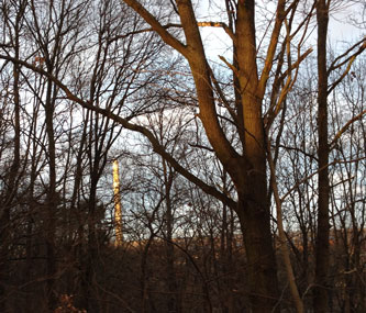 Foto von Wald mit Schornstein im Garten heute Foto von Wald mit Schornstein ist zu sehen - von heute.