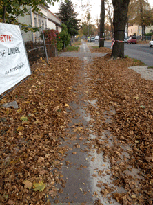 Fußweg mit Lindenlaub