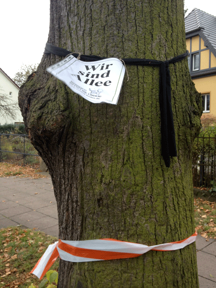 Stamm mit Beschriftung